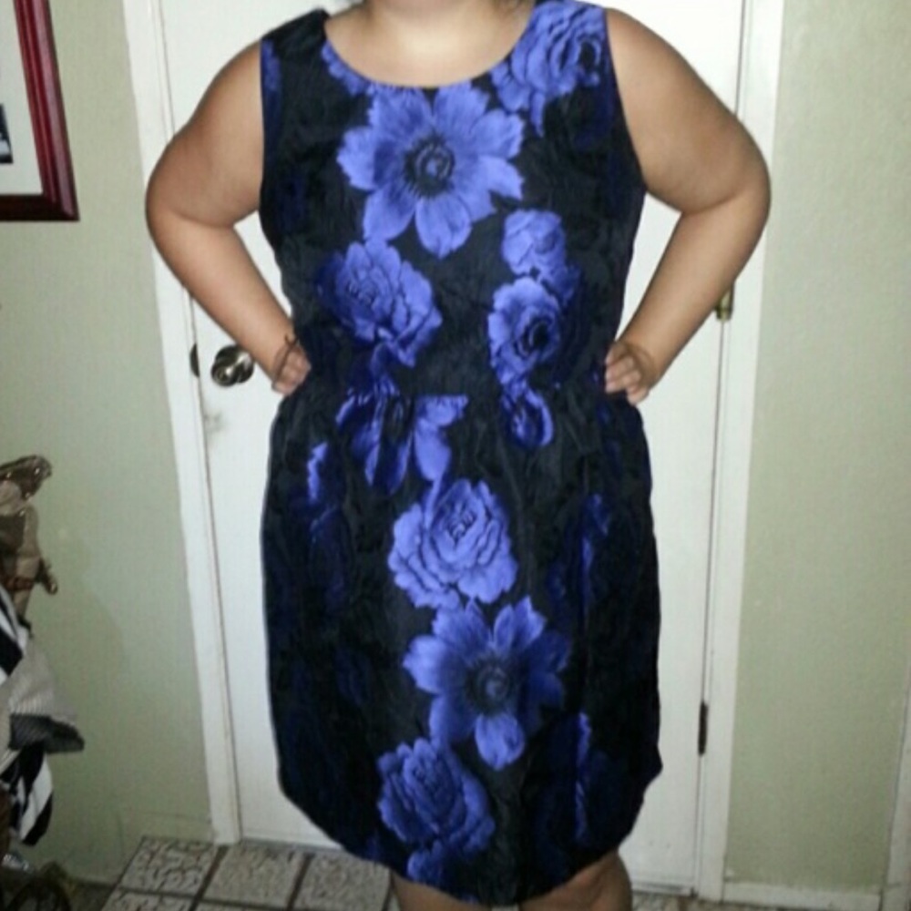Lane Bryant Blue Floral Dress Size 20